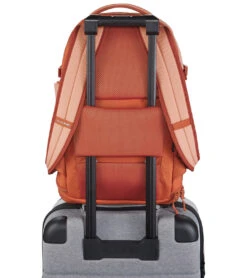 Dakine Verge 25L Backpack -Daily Swim Wear 8636861218984 mutedclay 7a