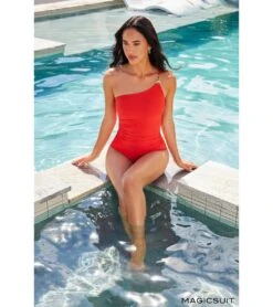 Magicsuit By Miraclesuit Women's Hyper Link Charlize One Piece Swimsuit -Daily Swim Wear 8645722865832 persimmon 4a