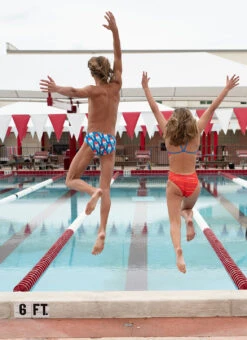 Sporti Summer Bliss Brief Swimsuit (26-40) 19 Sporti Summer Bliss Brief Swimsuit (26-40) -Daily Swim Wear 8694460776616 summerbliss 7a